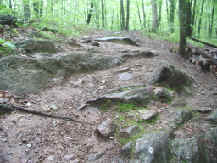 Photograph of schist outcrop on trail