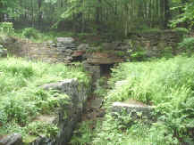 Photograph of old mill site along white trail.