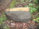 Photograph of amphibiolite boulder (dark rock) with pegmatite vein (lighter rock).