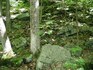 Tumbled gneiss at Haystack Mountain State Park