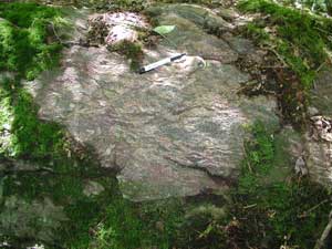 Boulder of schist at Haystack Mountain State Park