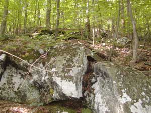 Lichen-covered gneiss at Haystack Mountain State Park