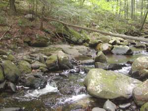 North Brook at Haystack Mountain State Park