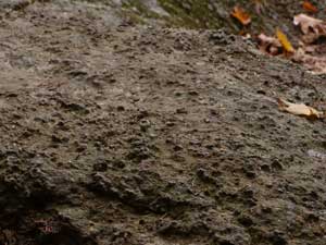 Garnets in rock at Kent Falls State Park