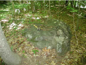 Photograph of one of many basalt erratics found along the blue trail