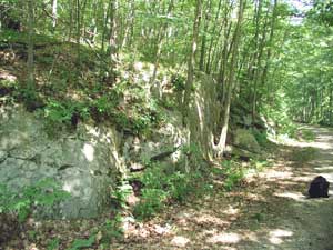 Gneiss outcrop along orange trail in Macedonia Brook State Park