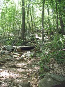 Steep and rocky trail at Macedonia Brook State Park