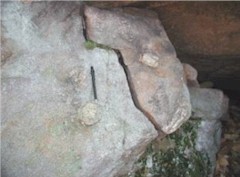 Photograph of a rock where the large, light-colored crystals such as under the pen, are feldspars.