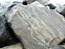 Photograph of banded dark and light layered gneiss located in jetty