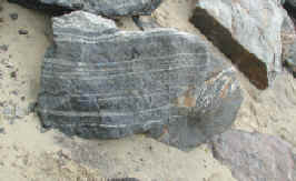 Photograph of banded dark and light layered gneiss located in jetty