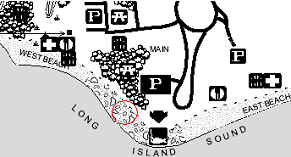 Section of Sherwood Island State Park Trail Map