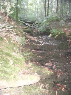 Photograph of small stream along Scout Trail.