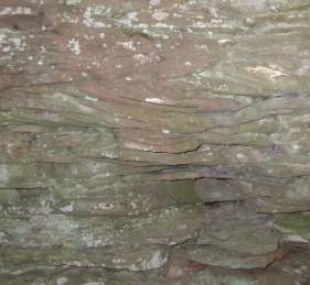 Photograph of cross-bedding of thin layers in arkose.
