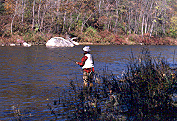 Housatonic Meadows State Park