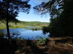 Pond Trail view