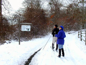 Photograph of two people cross country skiing