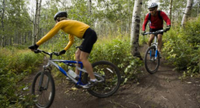 Photograph of two mountain bikers
