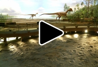 Link to Dinosaur State Park Video