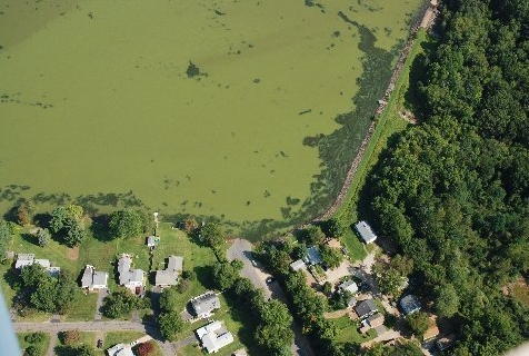 algal bloom aerial #1