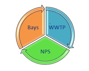 Nitrogen Strategy