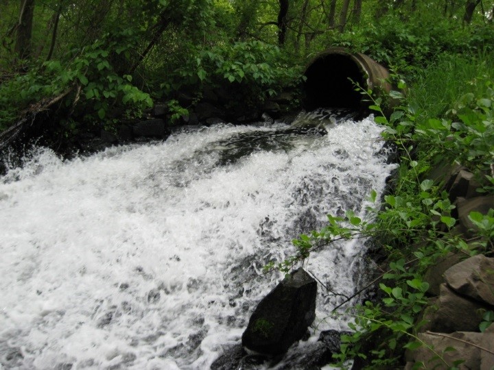 stormwater flows from pipe