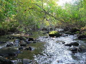 Nod Brook in Avon, Connecticut.