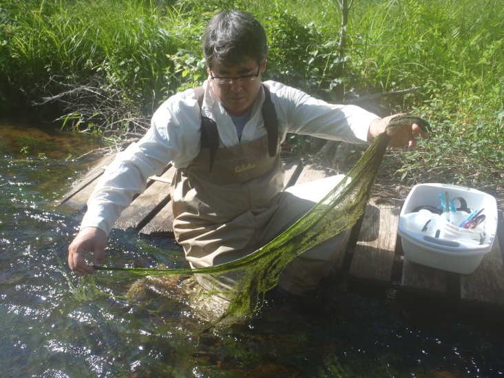 DEEP Monitoring Group staff examine excessive growth of filamentous green algae in Thompson Brook.