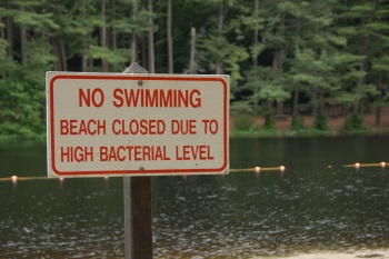 "No Swimming" sign posted at a beach closed due to high bacteria counts.