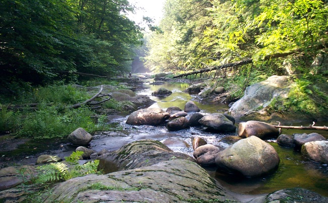 Hubbard Brook