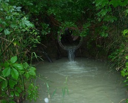 Mineral discharge exiting a pipe