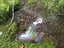 Oil sheen on surface water