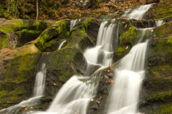 A photograph of a beautiful stream in Connecticut.