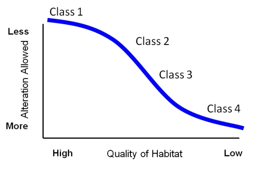 classification scheme