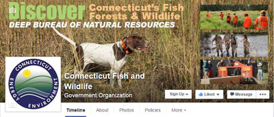 image of Connecticut Fish and Wildlife facebook page