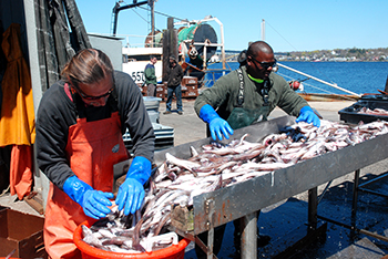 highly mechanized commercial fishing in the 2010s