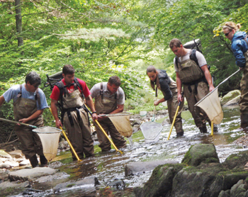 electrofishing