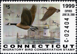 1999 CT Duck Stamp