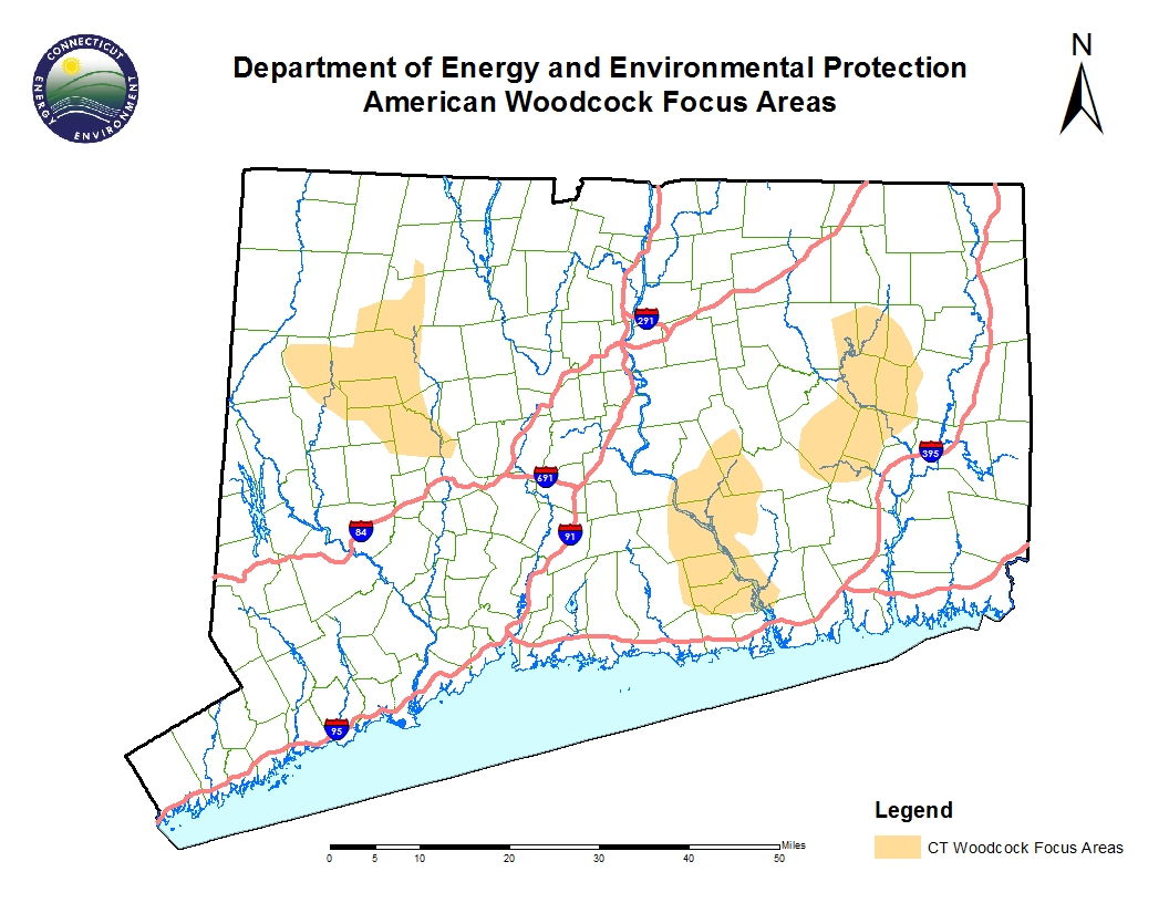 Map of  American woodcock focus areas