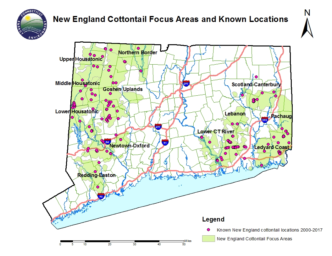 Map of New England cottontail focus areas