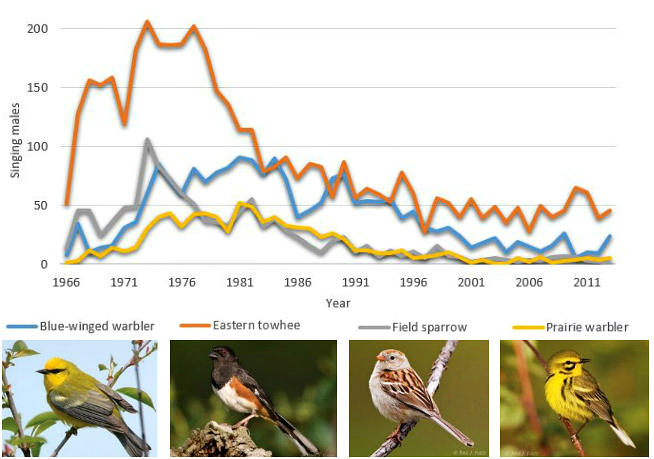 Graph of shrubland bird breeding survey results