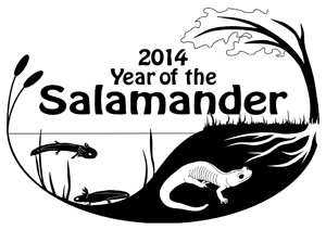 Year of the Salamander logo