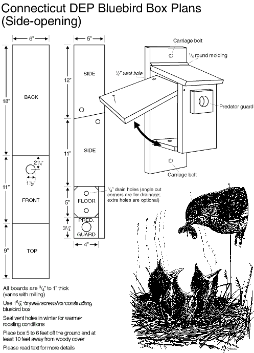 Side-opening Nest Box Plans