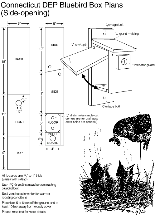 eastern bluebird house plans