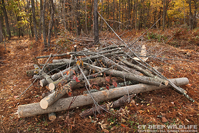 image of brush pile with third layer