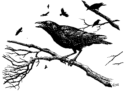 Crow.GIF (4703 bytes)