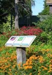 Butterfly Garden at Belding WMA