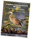Explore Connecticut's Wildlife at Sessions Woods