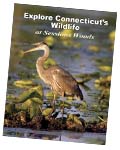 Learn About Wildlife in Connecticut