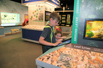 Exhibit room