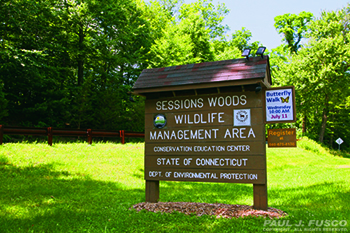 Sessions Woods Sign